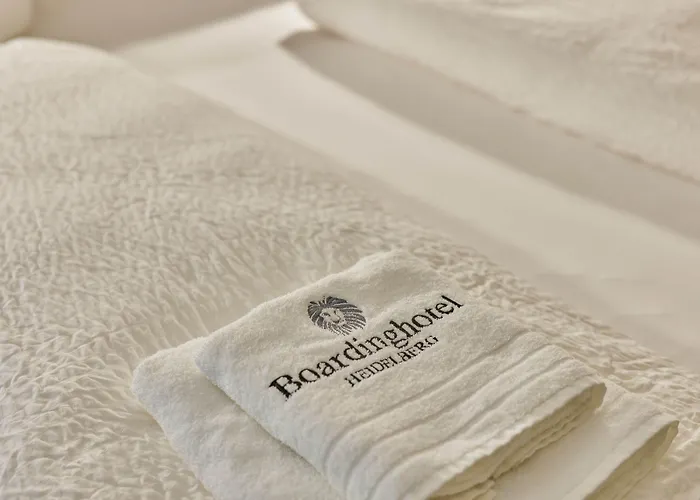 酒店 Boardinghotel Premium 海德堡
